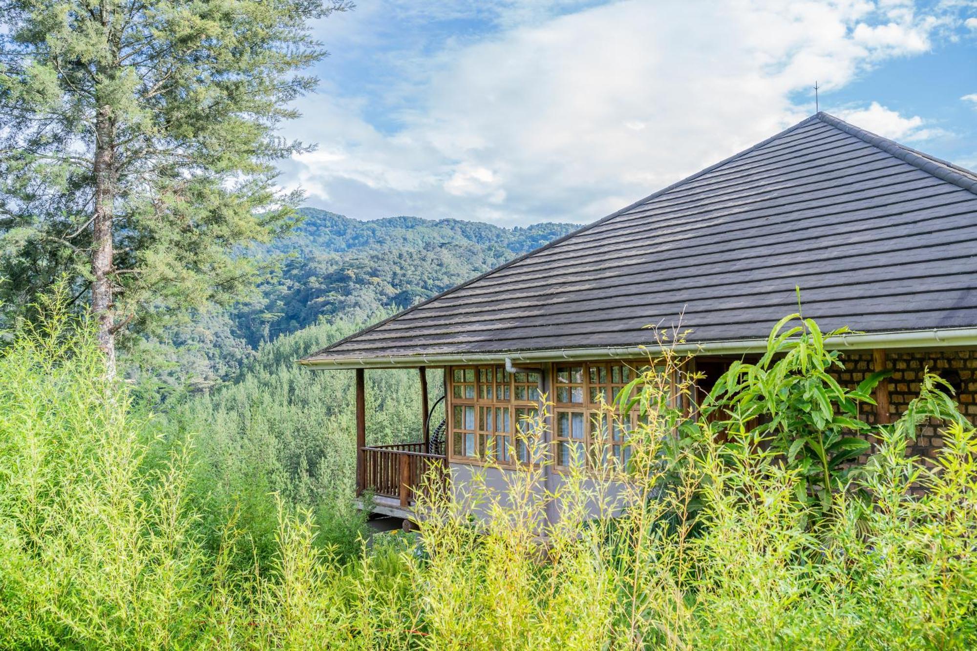 Gorilla Leisure Lodge キソロ エクステリア 写真