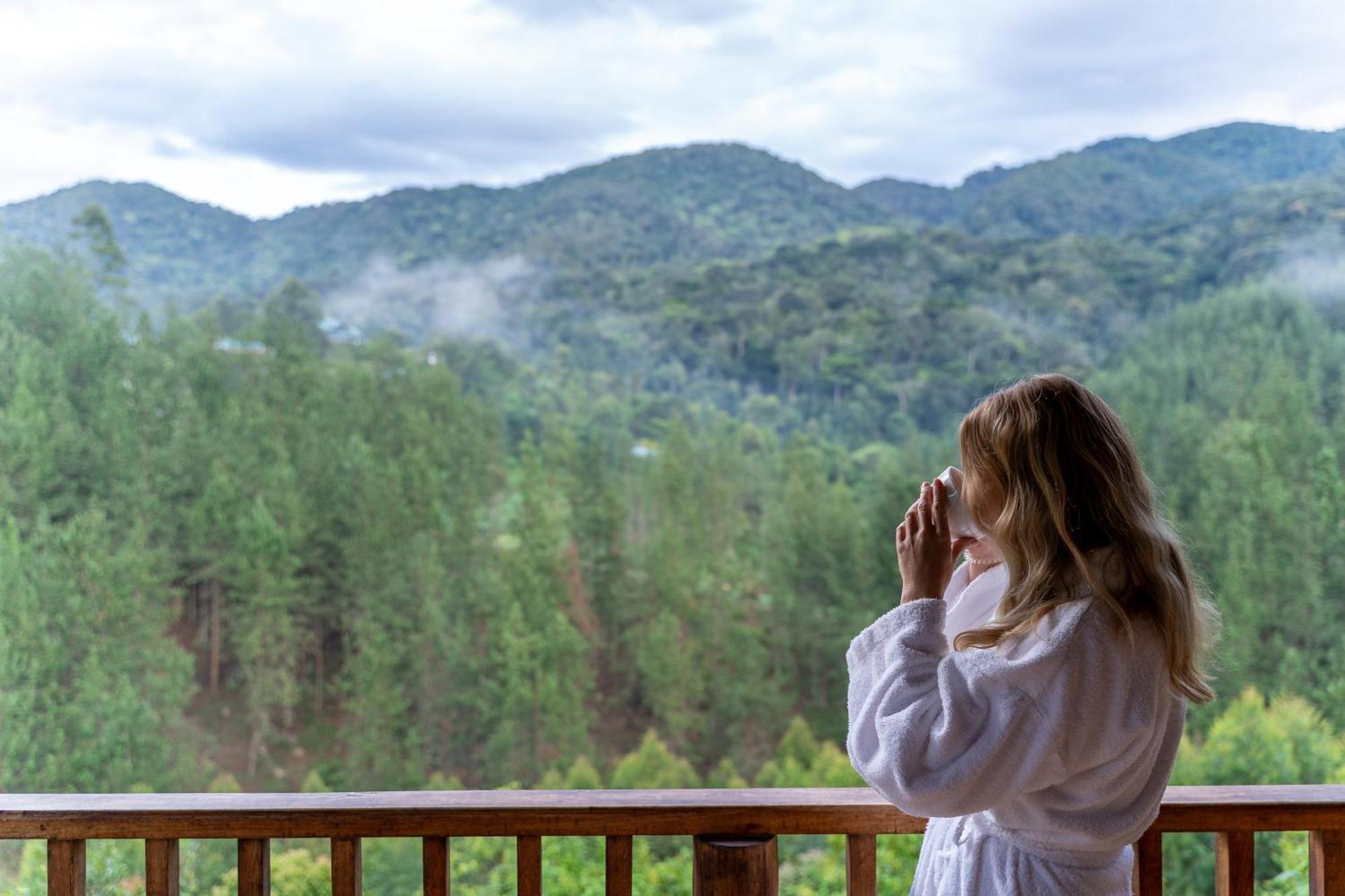 Gorilla Leisure Lodge キソロ エクステリア 写真